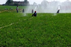 Plamen Nedaříž (15.07.2008)