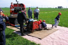 Plamen Nedaříž (15.07.2008)