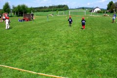 Plamen Nedaříž (15.07.2008)