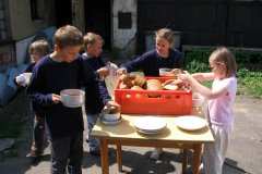 Plamen Nedaříž (15.07.2008)