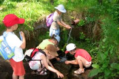 Výlet Trosky (31.05.2008)