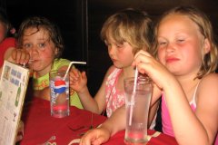 Výlet Trosky (31.05.2008)