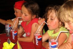 Výlet Trosky (31.05.2008)