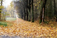Paseky nad Jizerou (17.10.2008)