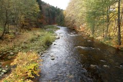 Paseky nad Jizerou (17.10.2008)